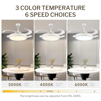 STODE® Alpha 42-Inch Chrome Ceiling Fan – White Retractable Acrylic Blades, Tricolor LED Light with Remote Control for Kitchen, Dining, Café, Hotel & Bar