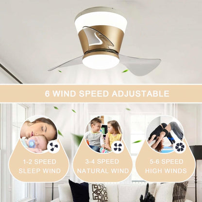 STODE® Modern 22 Inch Gold Low Profile LED Ceiling Fan Light with Remote | Modern 3 Color Changing Chandelier Flush Mount for Bedroom & Living Room
